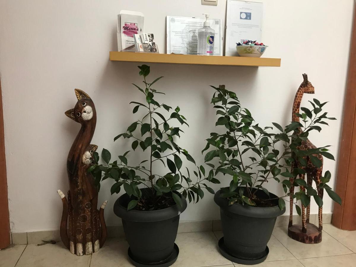 Stalida Heaven Studios & Apartments מראה חיצוני תמונה